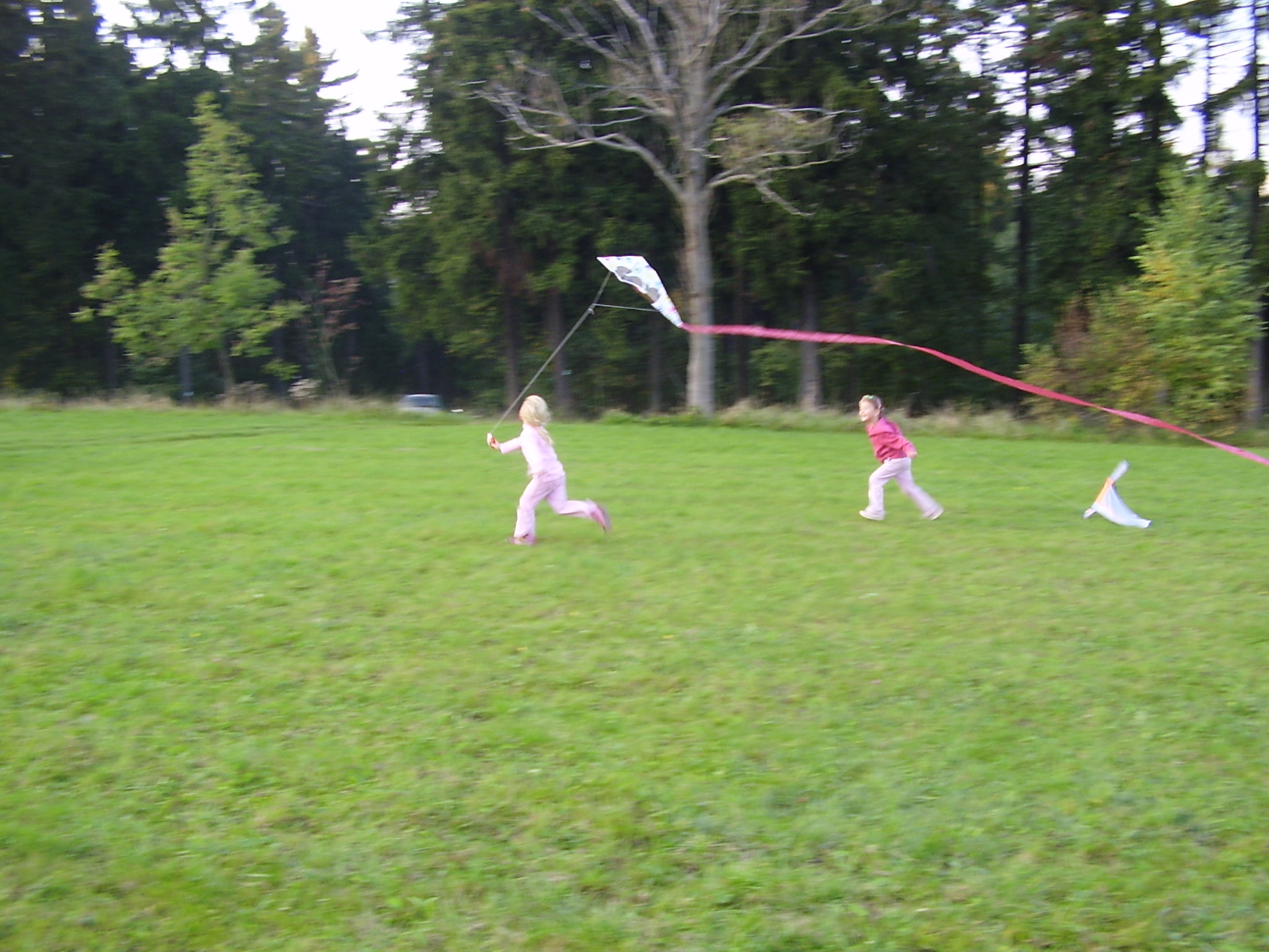 P3090216